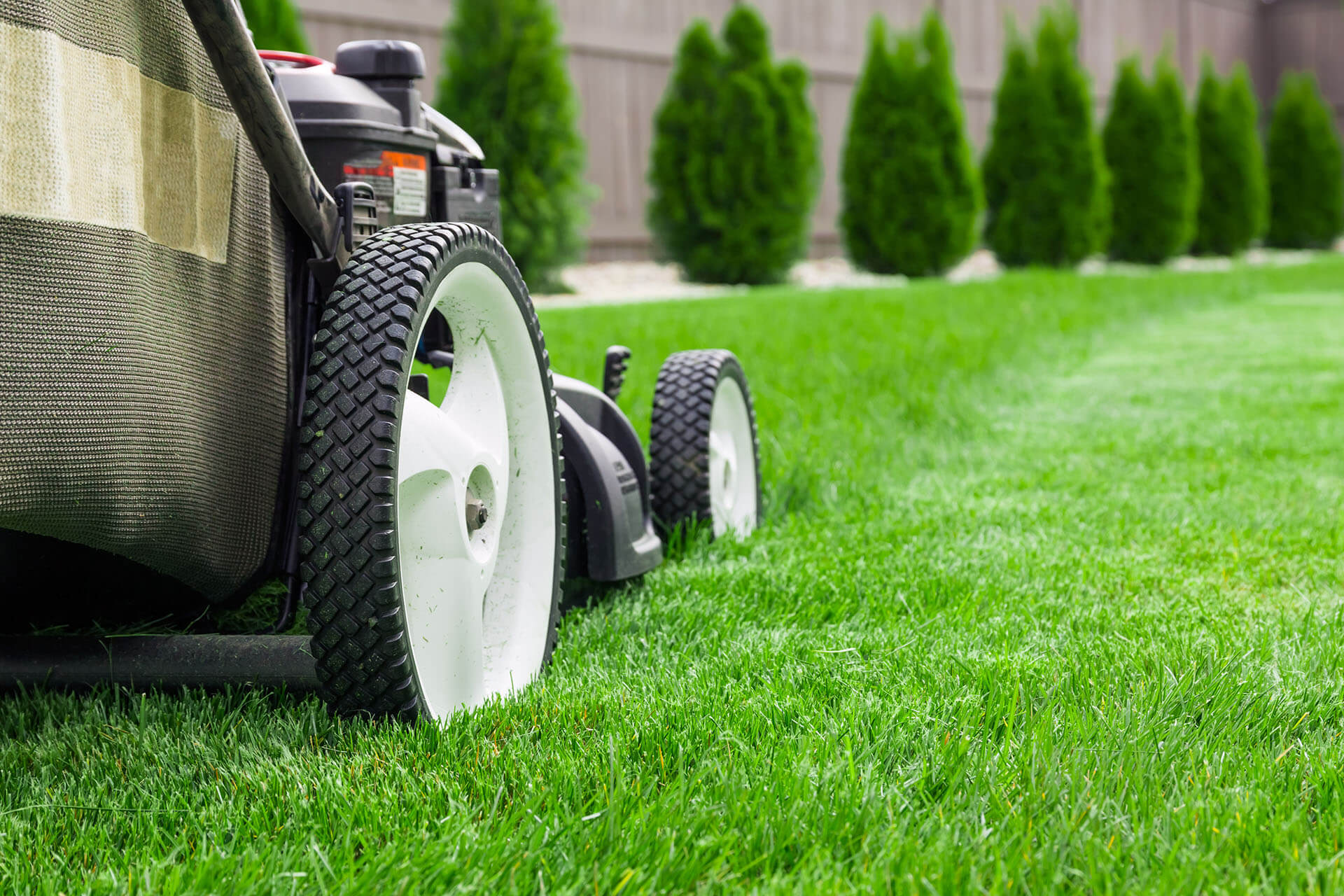 sod-resources-benefits-of-sod-how-to-guide-lawn-care-tips