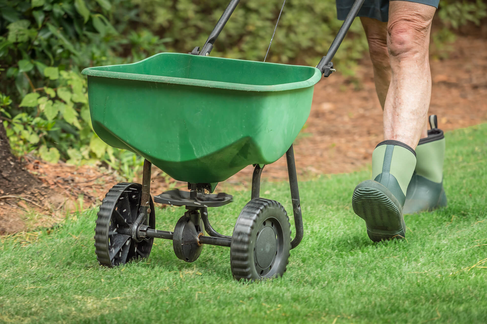 Should You Fertilize In The Fall