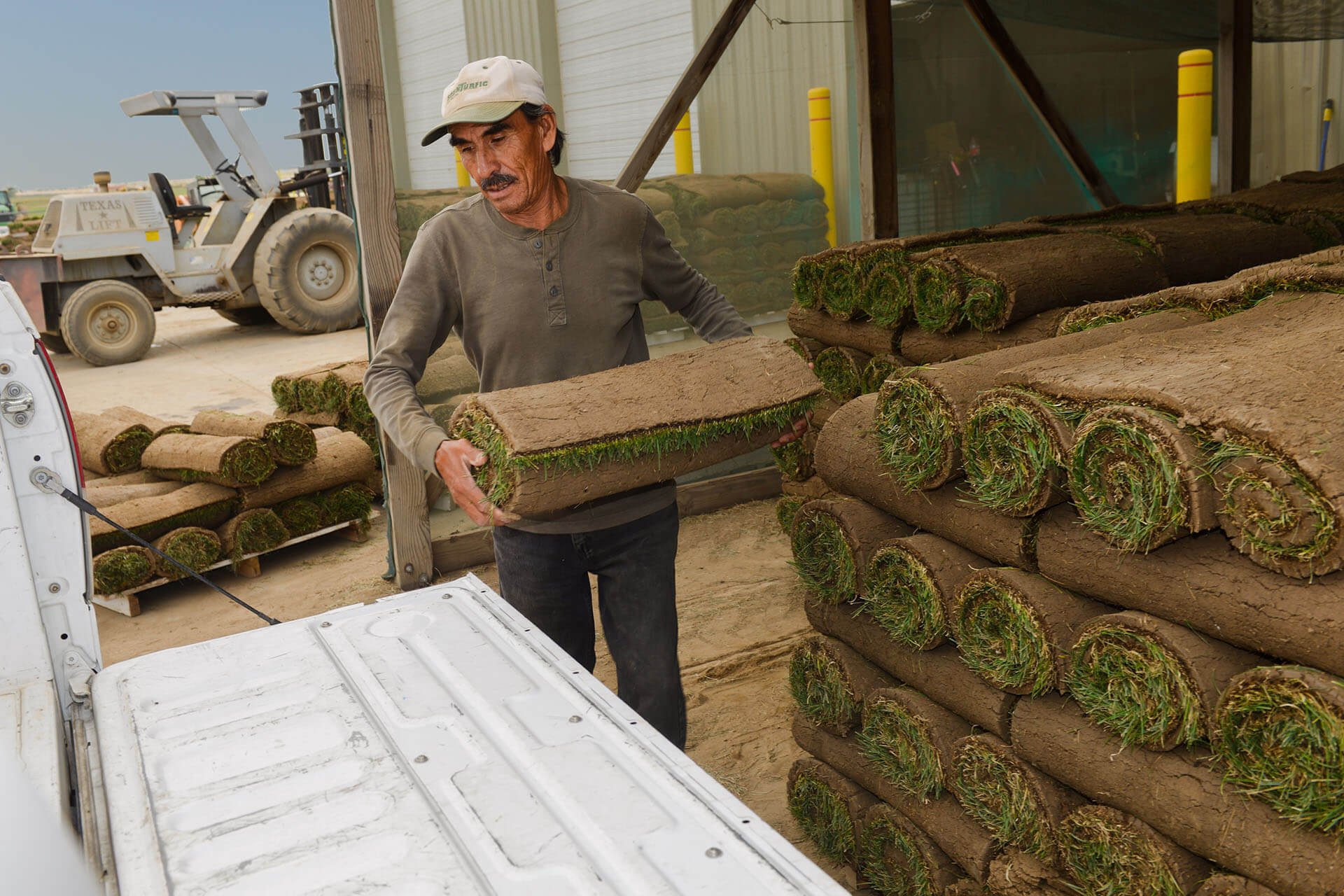 Buy Sod Pickup Prices For Sod How Much Is A Roll Of Sod 